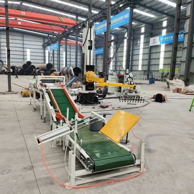 Competitieve automatische palletstapelrobot voor kunstmestpalletiseringstechnologie